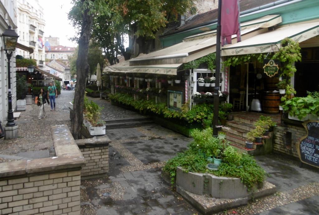 Apartment Nedic เบลเกรด ภายนอก รูปภาพ